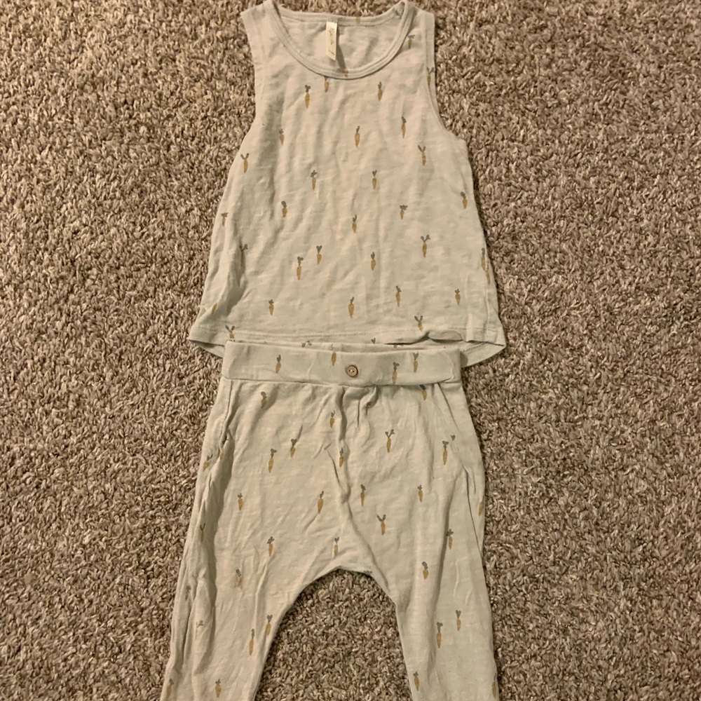 Rylee and Cru 12-18 Month Set. Carrot design.
